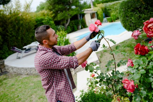 A man with short dark hair, wearing a red and white checked shirt and black gardening gloves, is pruning a pink rose bush in a well-maintained backyard garden. The yard features a lush, green lawn area with a curved paved patio in the background, which includes a rectangular swimming pool with a light-colored border. Tall, neatly trimmed hedges and various shrubs surround the garden, providing privacy and a natural backdrop. The garden appears to be outdoors in daytime with bright, natural lighting and a clear sky, creating an inviting atmosphere for outdoor gardening and landscaping activities. The scene reflects professional gardening work, such as planting or pruning, aligned with services offered by landscapers Westminster, serving the Westminster area and postcode W1 or NW.