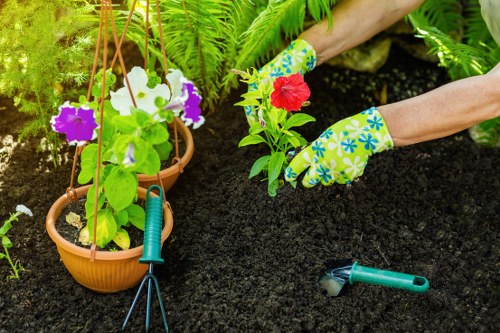 The image shows a section of a garden with freshly tilled, dark soil prepared for planting, adjacent to a lush backyard landscape with green plants, ferns, and a hedge in the background. A pair of hands wearing colourful gardening gloves are planting a red flower into the soil, with a small green hand trowel nearby on the ground. To the left, two hanging flower pots containing vibrant white, purple, and pink blooms are suspended from plant supports, adding colour to the setting. The garden appears well-maintained, with a natural mix of textures from the leafy plants, flowering blooms, and rich soil, suggesting attentive gardening and landscaping efforts typical of services offered by landscapers Westminster in the Westminster area. The scene is lit by natural daylight, with no signs of harsh weather, creating a bright and inviting outdoor environment suitable for gardening and lawn care activities. This outdoor space reflects a thoughtfully landscaped yard that may be part of a residential property requiring garden planting or maintenance services from local landscaping professionals.