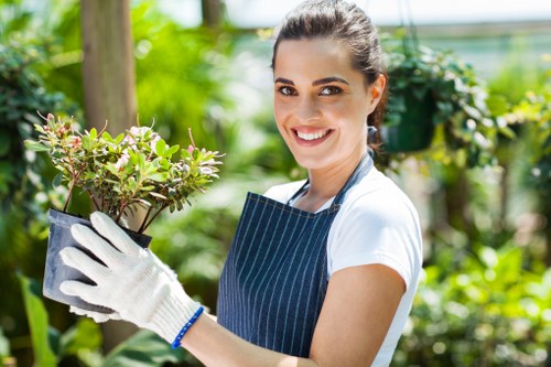 Accessibility-focused landscapers website in Westminster with inclusive design features