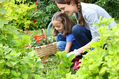 Tools and equipment used for garden clearance