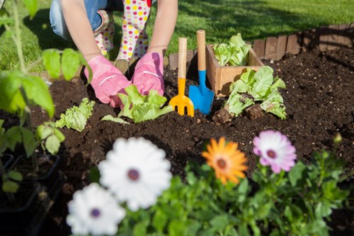 Healthy and well-maintained garden after clearance