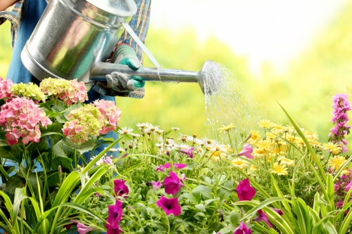 A gardener's hand, wearing a glove, is holding a metal watering can and watering a vibrant flower bed in a garden. The flower bed is filled with a variety of colourful blooms, including pink, yellow, and purple flowers, arranged in clusters. Surrounding the flower bed, there are lush green grass and broad-leaved plants, indicating well-maintained landscaping typical of outdoor garden spaces. In the background, blurred greenery suggests trees or bushes, with natural sunlight illuminating the scene, creating a bright and fresh outdoor environment. The garden features a mix of flowering plants and foliage, with the soil in the flower bed appearing moist from recent watering, reflecting a healthy and nurtured outdoor space. This scene is representative of professional gardening services offered by Landscapers Westminster, aiming to enhance residential or commercial gardens in the Westminster area, UK.