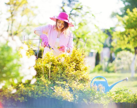 A woman in a pink sunhat and gardening gloves is tending to a garden bed with yellow and white flowering plants, surrounded by lush green trees and grass under bright, natural daylight. The garden features a neatly maintained lawn, with a clear border of flowering shrubs and small plants. In the foreground, there is a blue watering can resting on the ground, indicating ongoing gardening activity. The background shows tall trees providing shade, with sunlight filtering through their leaves, creating a vibrant and inviting outdoor space typical of well-maintained residential gardens in Westminster. The overall scene highlights outdoor gardening and lawn care efforts, supported by professional landscaping services like those offered by Landscapers Westminster.