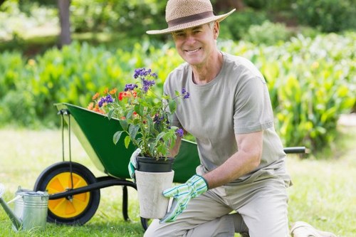 A smiling elderly man wearing a straw hat, light grey t-shirt, and gardening gloves, kneels on a well-maintained lawn in a garden near Westminster. He is holding a potted plant with flowering purple and red blossoms, which appears to be freshly dug from the soil. Behind him, there is a bright yellow and black wheelbarrow filled with garden tools and a few more plants, positioned on the grass. The garden features a lush, green hedge running along the background, creating a natural boundary, with mature trees providing shade and a peaceful outdoor environment. The scene is illuminated by soft natural daylight, indicating a clear weather day, emphasizing vibrant natural tones in the grass, plants, and wooden garden elements. This setting exemplifies the type of outdoor space maintenance and planting services offered by Landscapers Westminster, focusing on garden landscaping, planting, and lawn care in the local Westminster area, postcode W1 or NW. The scene highlights a neatly maintained garden environment ideal for professional gardening and landscaping projects in London’s Westminster district.