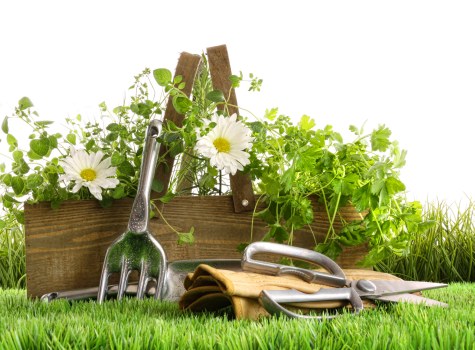 Different types of decking materials including wood and composite