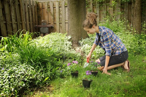 A young woman with brown hair tied back, dressed in a blue and black checkered shirt and black jeans, is kneeling on a well-maintained grass lawn in a garden located in Westminster. She is tending to small flowering plants in black pots, which are arranged along the edge of a flower bed. The garden features a variety of lush green foliage, including tall ornamental grasses and flowering shrubs with white and purple blossoms. In the background, there is a weathered wooden fence and a large tree trunk providing partial shade. The scene takes place on a bright, partly cloudy day, with natural light illuminating the garden's diverse textures and colours. The outdoor space is well-kept, suggesting regular gardening care by a professional landscaper or gardening service, fitting within the scope of Westminster’s residential gardens. This image supports services related to garden planting, planting consultations, or garden maintenance offered by Landscapers Westminster, aligning with local landscaping and gardening enhancement efforts.