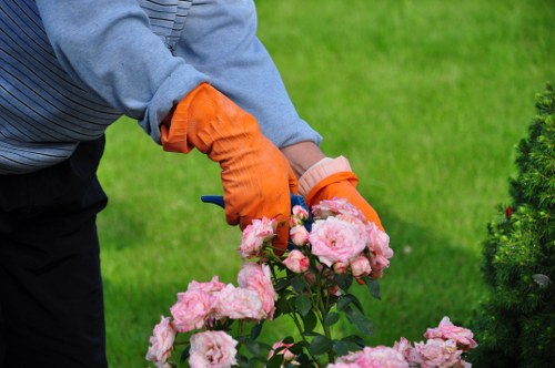 A person wearing a blue long-sleeved top and bright orange gardening gloves is tending to a flowering bush with numerous pink blossoms in a well-maintained garden. The garden features a lush, vibrant green lawn in the foreground, with the flowering shrub positioned towards the bottom right of the image. In the background, there are neatly trimmed evergreen hedges, some smaller shrubs, and a paved pathway or patio area partially visible. The area appears to be outdoors on a clear day with natural lighting, highlighting the vivid colours of the flowers and greenery, indicative of regular gardening maintenance by local landscapers in Westminster. The scene emphasizes careful plant care and outdoor garden design typical of professional gardening services in the area, supporting gardening and landscaping tasks such as pruning, planting, and garden upkeep.