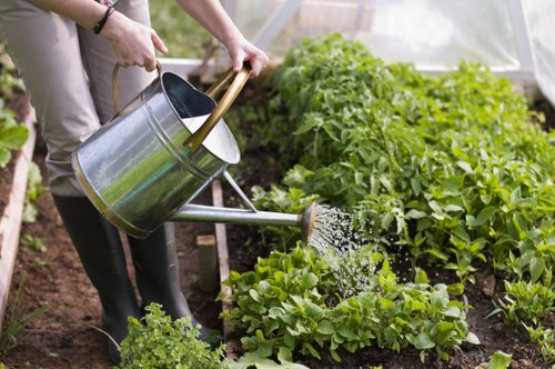 Skilled landscapers working on a garden design