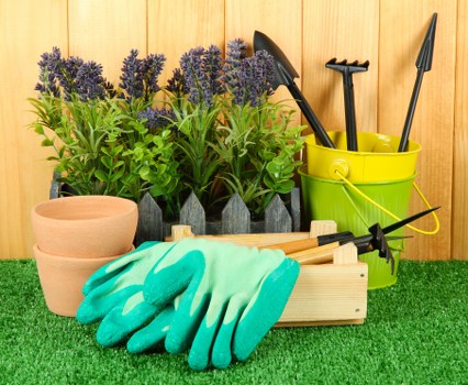 A collection of gardening tools and supplies arranged against a wooden panel background, suitable for outdoor maintenance in Westminster. The image features a bright yellow plastic bucket holding various gardening tools such as a trowel, hand fork, and cultivator, all with black handles. In front of the bucket, there are two terracotta plant pots, empty and stacked, revealing their smooth, curved surfaces. A rectangular wooden planter box measures slightly larger than the pots and contains a pair of gardening gloves in bright teal and green, draped over the edge. Behind the tools and pots, a row of healthy lavender plants with purple flower spikes and green foliage is visible, planted in dark, neat containers. The setup is displayed on a well-maintained artificial grass surface, indicating organized outdoor gardening space, potentially part of a landscaped garden or backyard in Westminster. The scene suggests preparation for gardening tasks such as planting, pruning, or maintenance, aligned with professional landscaping and lawn care services offered by Landscapers Westminster, demonstrating a clean and inviting outdoor environment with natural tones and practical garden elements under soft, natural lighting, possibly on a mild, overcast day.